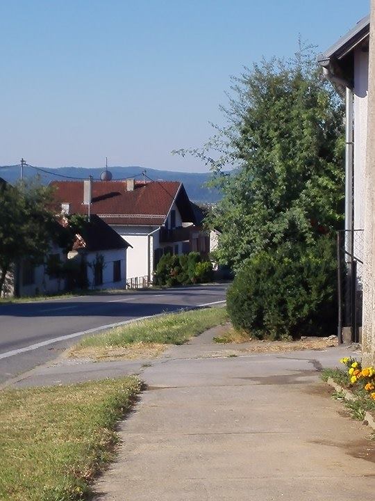 13649635_919457774831627_1788556879_n