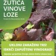 Zlatna žutica vinove loze: poziv na uklanjanje zaraženih trsova