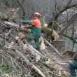 Pakračka Šumarija poziva na oprez zbog radova u šumi Kalvarija